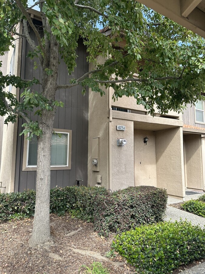 Photo - 4025 Dale Rd