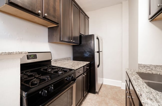 Photo - Loring Grove