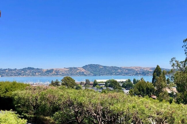 Building Photo - Charming, Furnished 1-bedroom Condo in Sausalito.