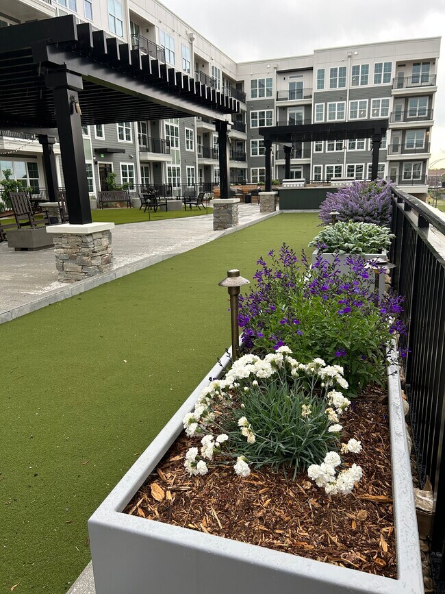 Bocce Ball Court