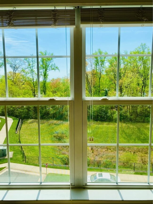 Vista - 4873 Dane Ridge Cir