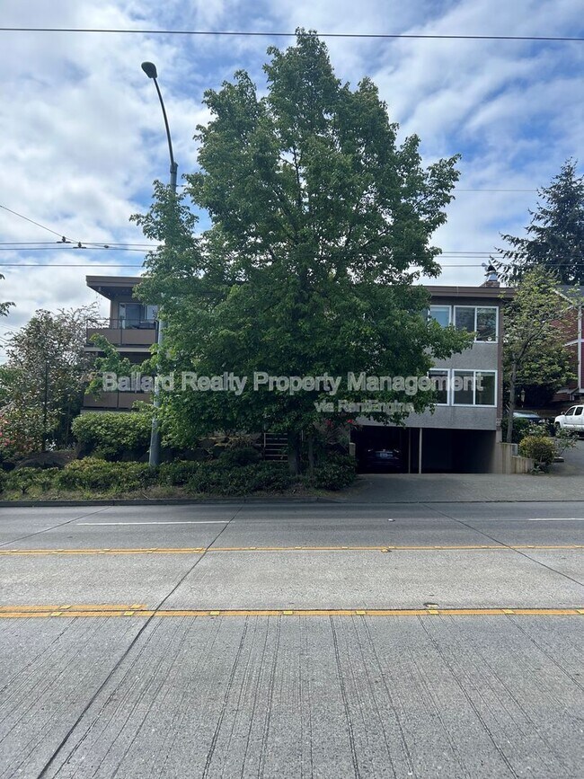 Photo - 519 N 46th St Condo