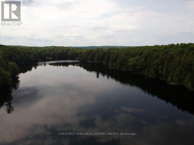 Photo - 1093 Wilkinson Rd