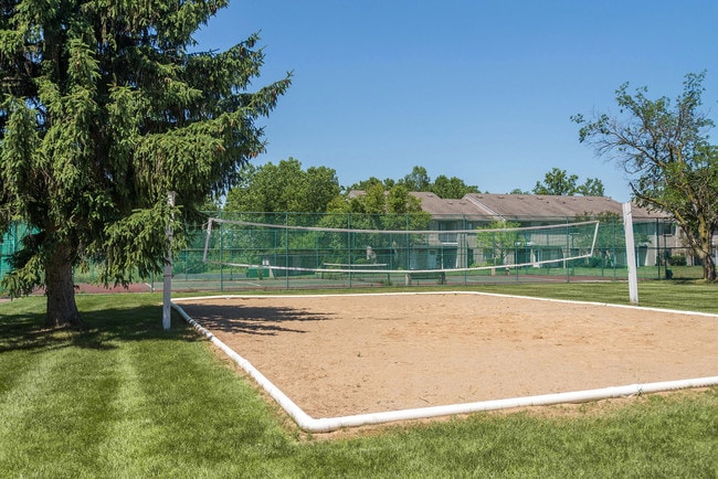 Sand Volleyball