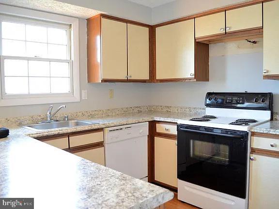 Photo - 49 Rocky Brook Ct