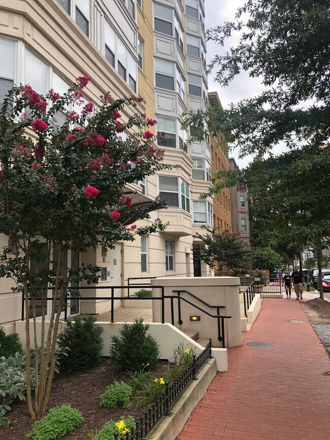 Photo - 1111 11th St NW Condo Unit 409