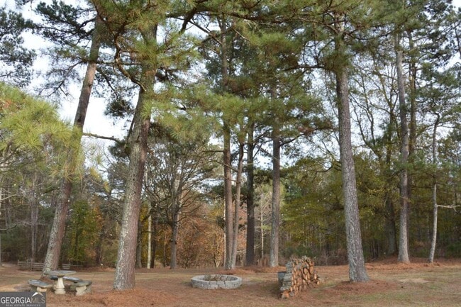 Photo - 1745 Mineral Springs Rd