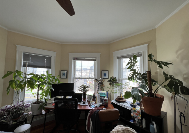 Building Photo - 332 Beacon St Unit 2 Rental