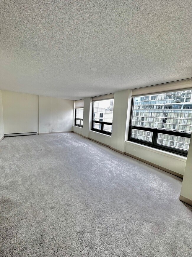 Building Photo - 440 N Wabash Ave Unit 1704