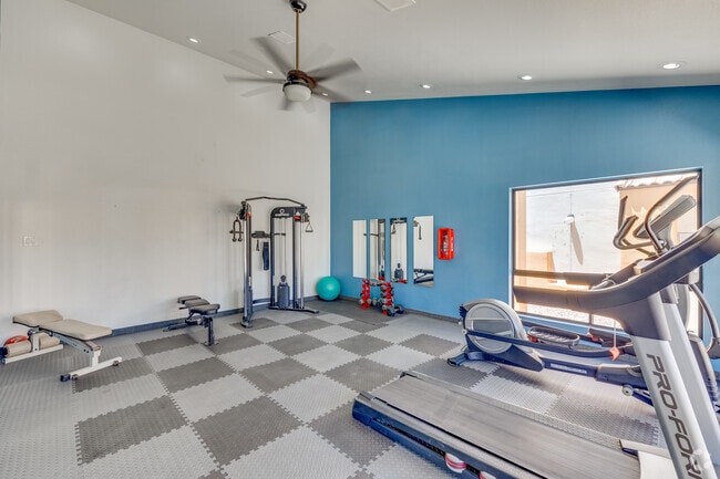 Gimnasio