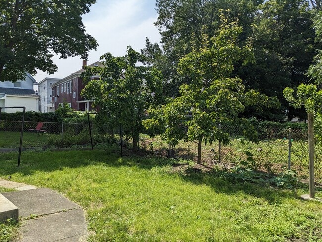 Photo - 56 Clayton St