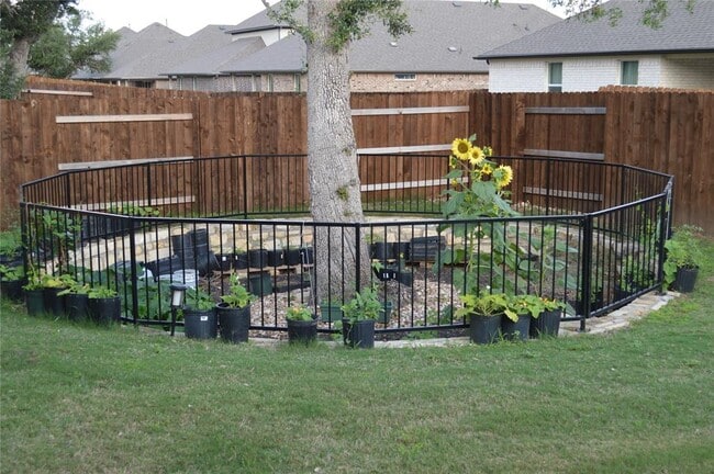 Photo - 2316 Bravo Pass