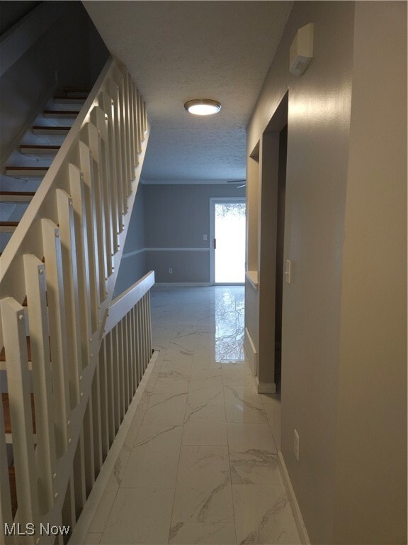 Photo - 1258 Meadow Run