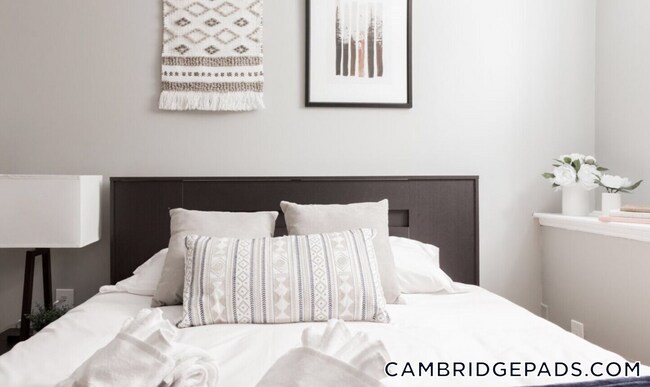 Photo - 7 Story St Unit B