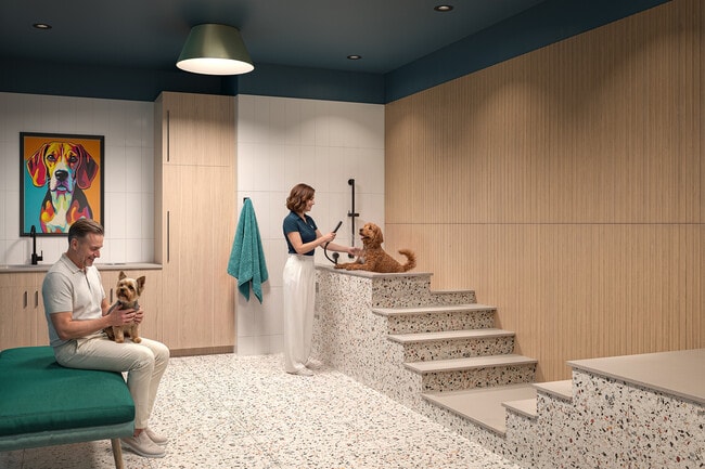 Spa para mascotas