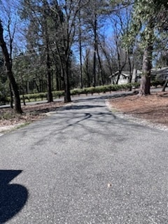 Photo - 12437 Silk Tassle Cir