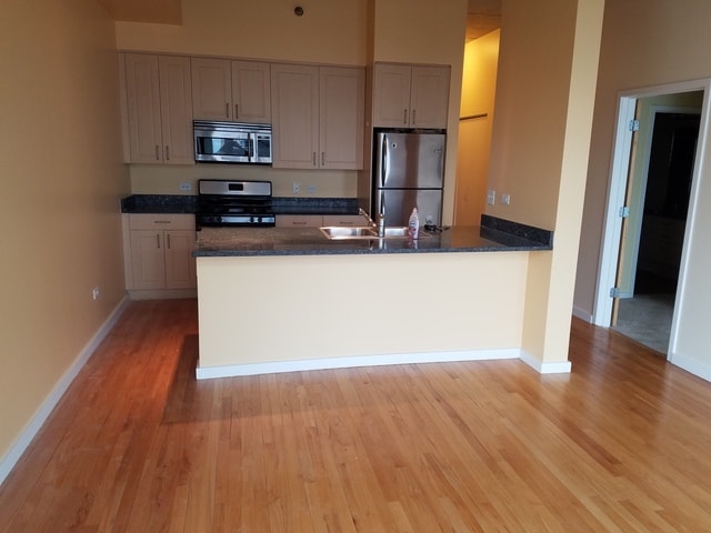 Building Photo - 1620 S Michigan Ave Unit 914 Rental