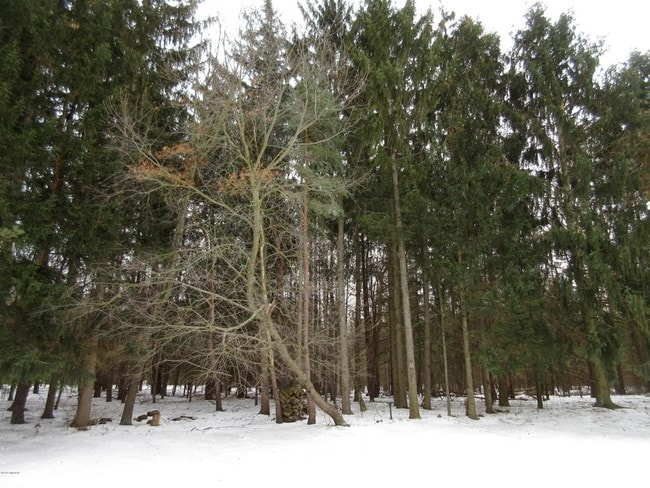 Photo - Wellington Apartments