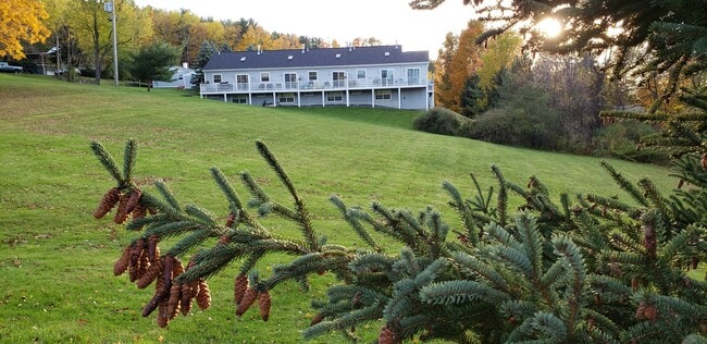 View on apartments from the park