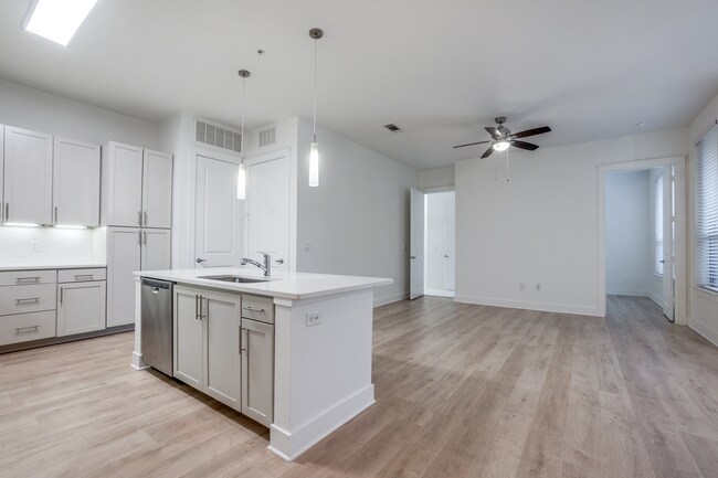 Photo - Teak at the Branch