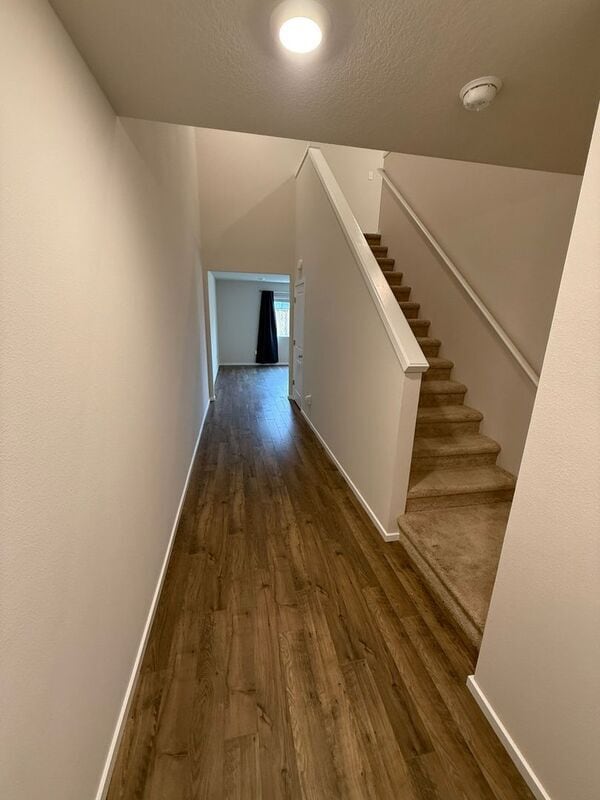 Photo - 4816 Apollo Ave