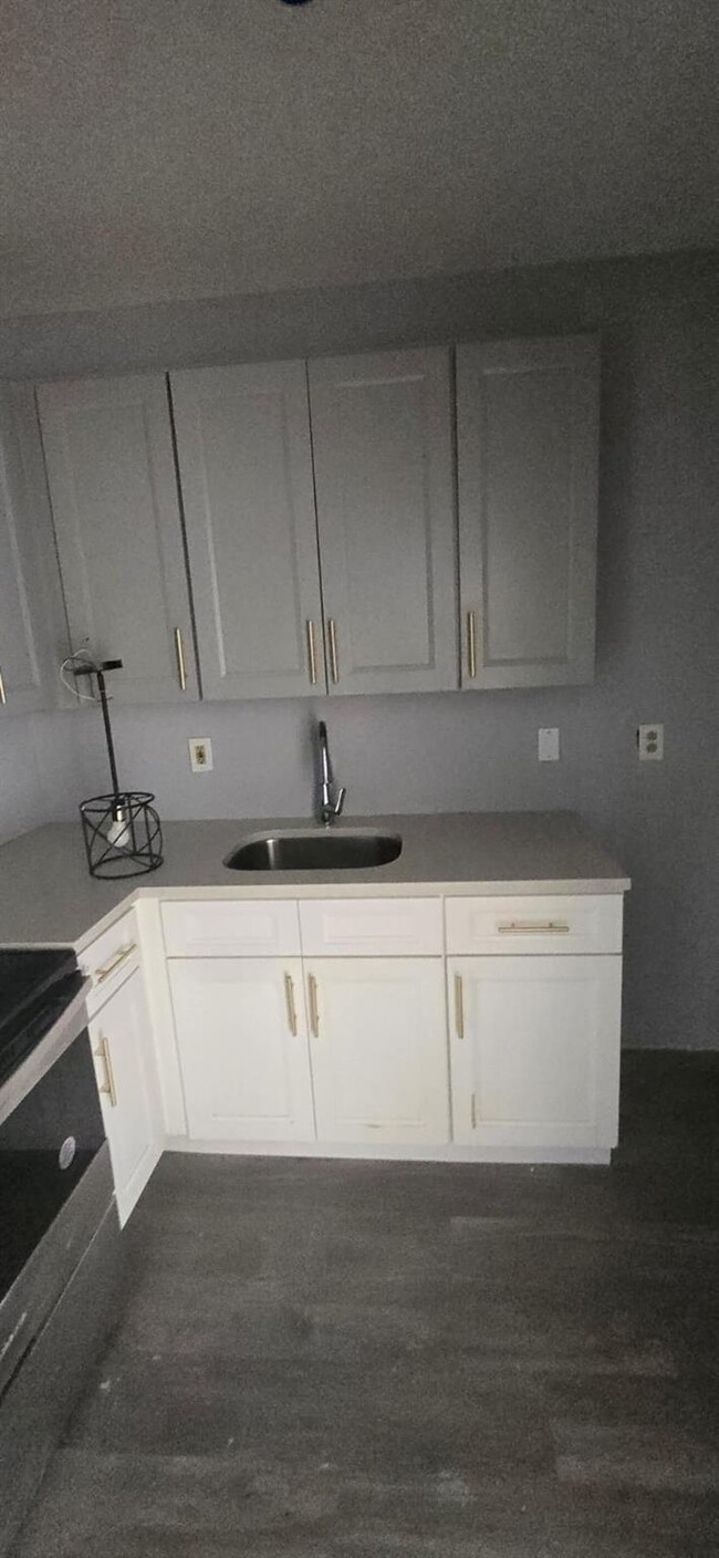 Photo - 155 Ann St Apartment Unit 1