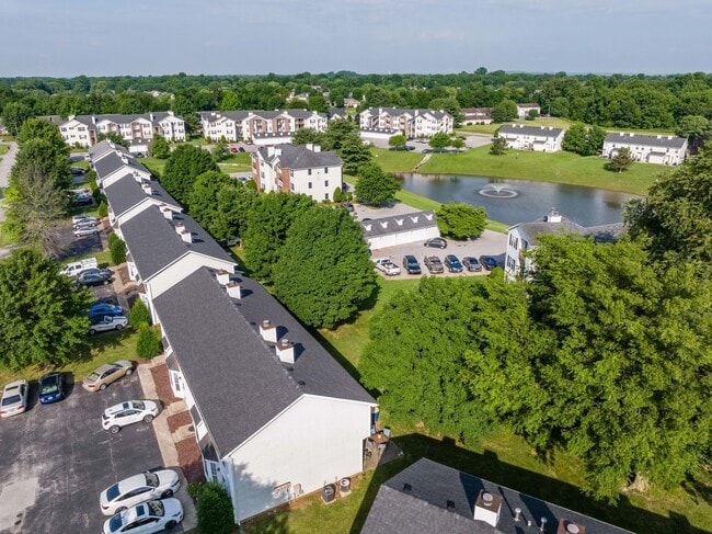 Birdseye View of Adler