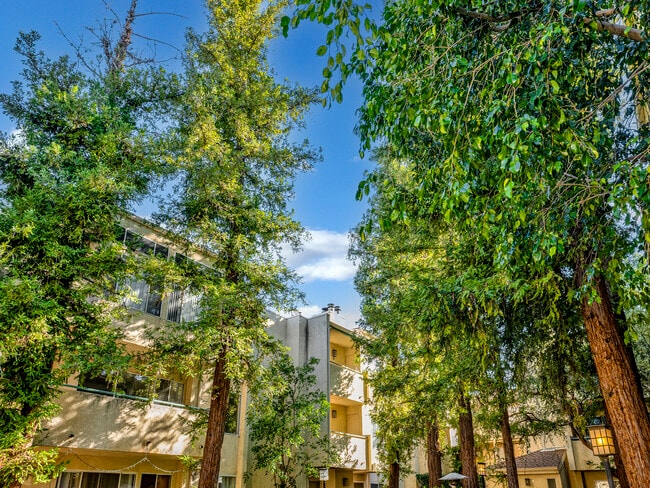 Photo - 7800 Topanga Canyon Blvd Unidad #216