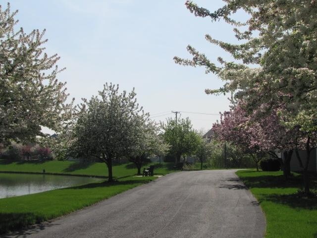 Anderson Farms Apartments