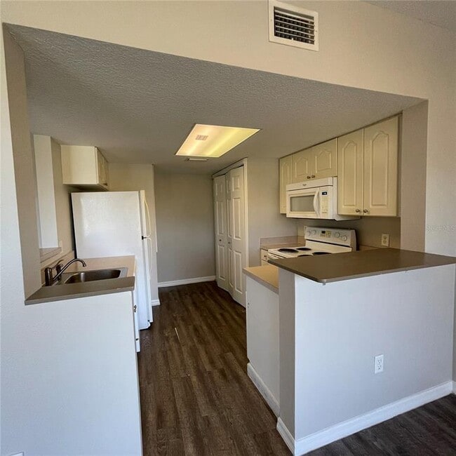 621 Washington Palm Loop