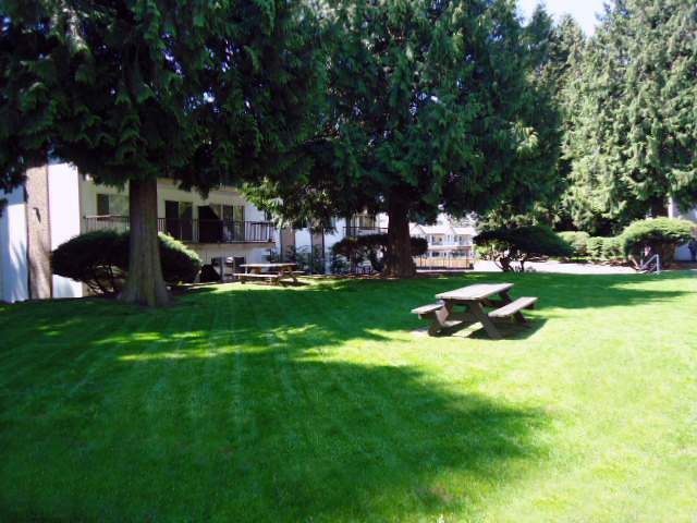 Photo - Villa Vista Apartments