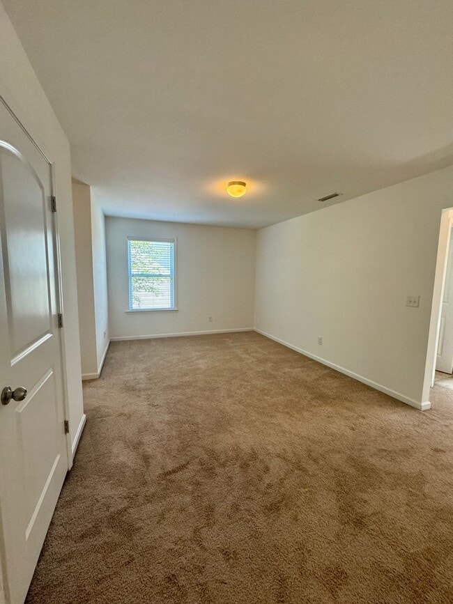 Photo - AVAILABLE TO SHOW!