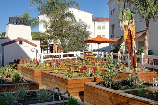Santa Barbara At Rancho Cucamonga