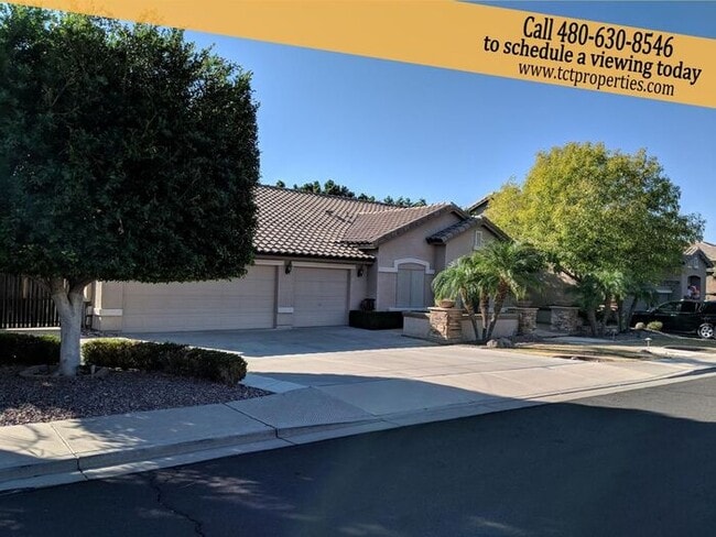Spacious Home in North East Mesa! - Spacious Home in North East Mesa!