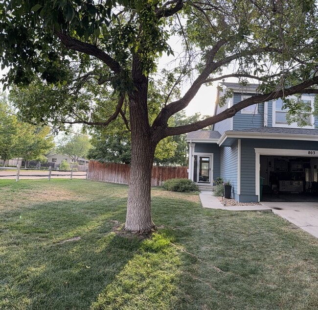 Photo - 803 Union St