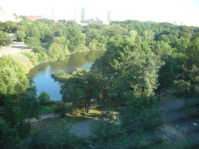 Photo - Pond View! Near Longwood Medical Area, Green line-D Brookline Village!