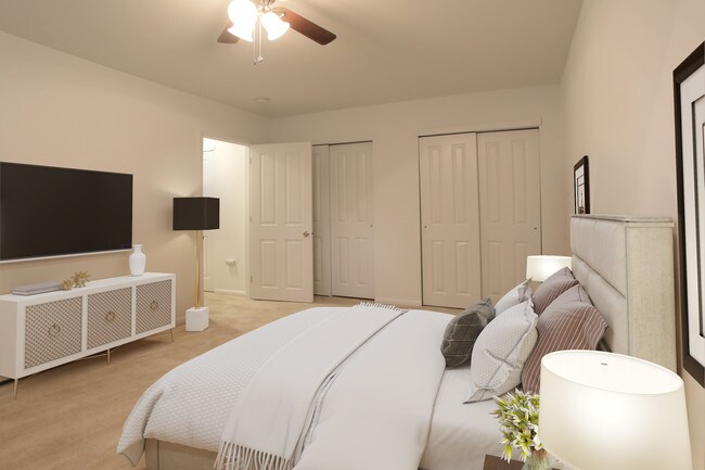 Photo - Hidden Forest