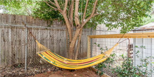 Photo - 815 Gunter St