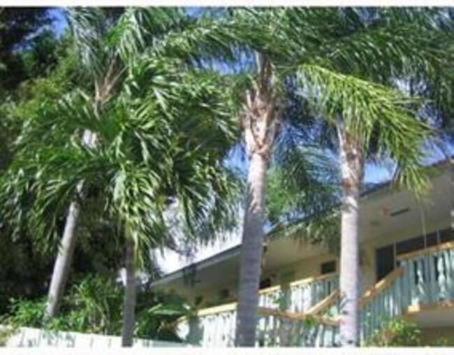 Photo - 1423 Holly Heights Dr Unidad 7