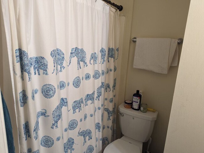 Photo - 2/2.5 off Old St Augustine