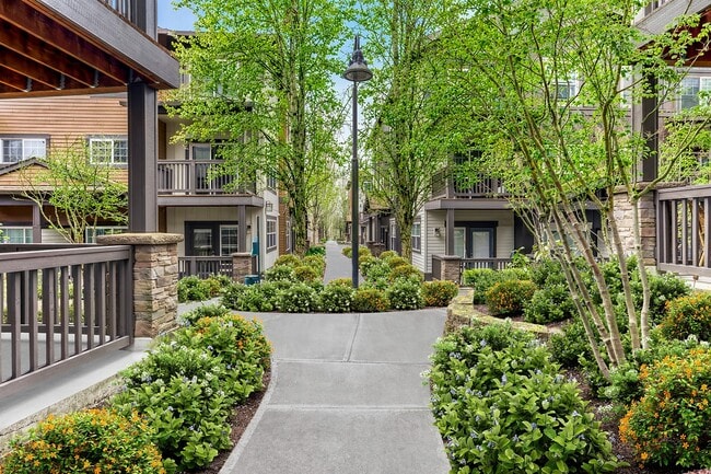 Photo - Sunset Crossing