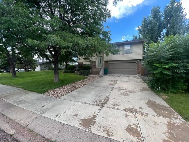 Photo - Beautiful Home 3 Bedroom within Close Proximity to Fort Carson!!