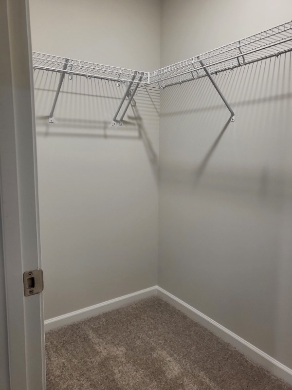 Photo - 115 Tupelo Brg Dr