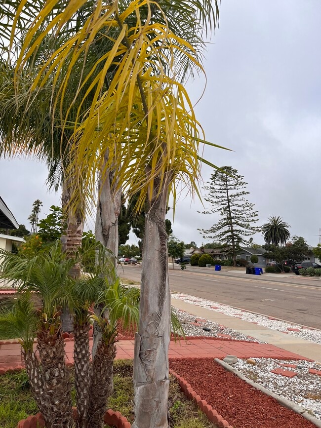 Photo - 2975 Governor Dr