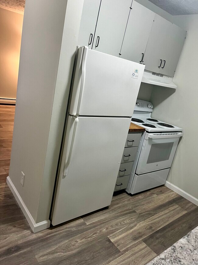1380 1 Bed 1 Bath Kitchen