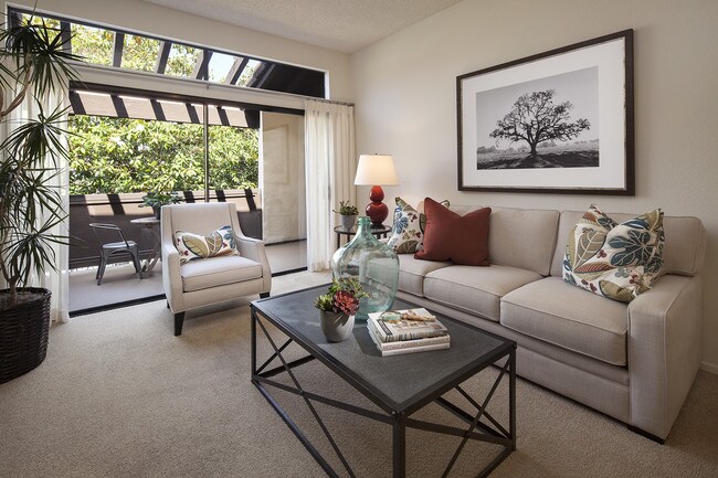 Rancho Alisal Apartment Homes