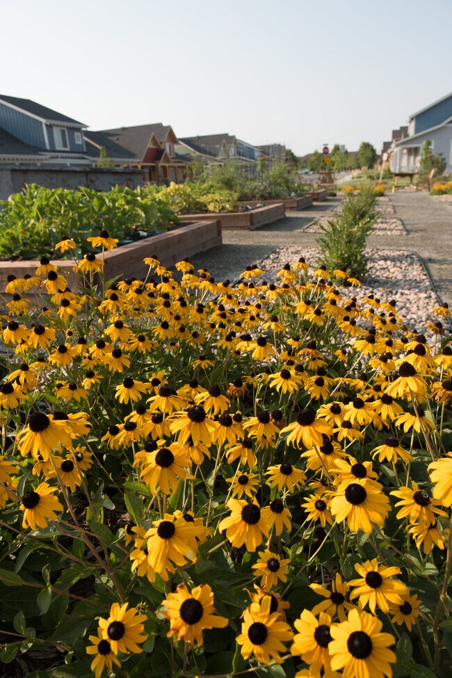 Lifestyle | Community Garden