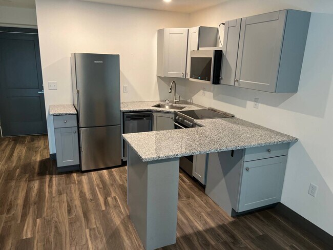 480 S Salina St Unit 311