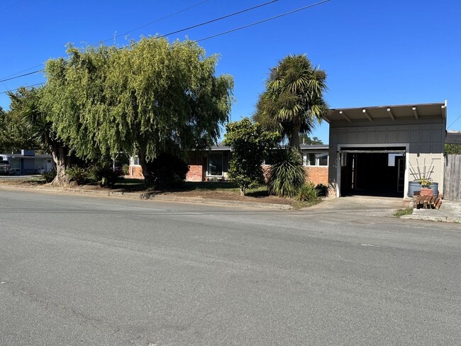 Photo - Large Dog-Friendly Myrtletown Home Located On A Large Corner Lot!