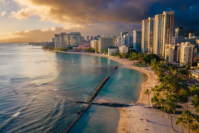 Lilia Waikiki